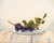 Damson sprig