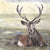 Stag print