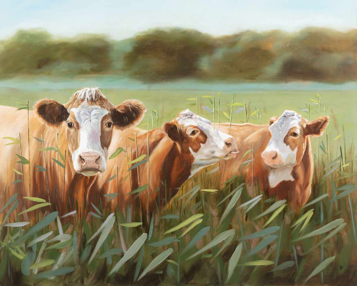Cow oil painting showing three cows
