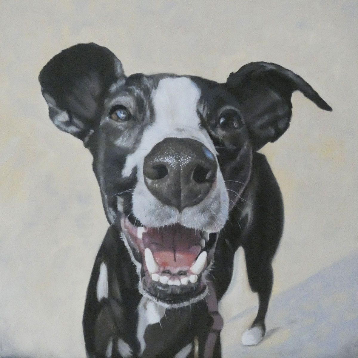 Oil Painting on sale Pet Portrait Commission - Custom Order - Framing Option - Dog, Cat, Horse, Bird (any animal, really!)