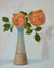 Orange roses in ceramic vase
