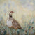 French Partridge Print