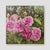 Pink Profusion Rose Canvas Print