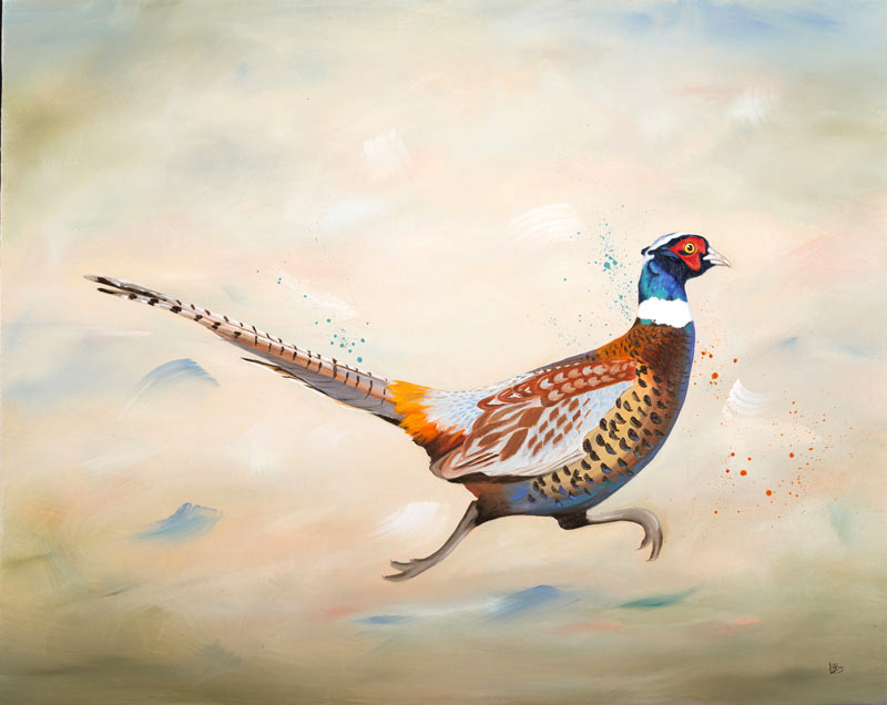 Running Pheasant picture