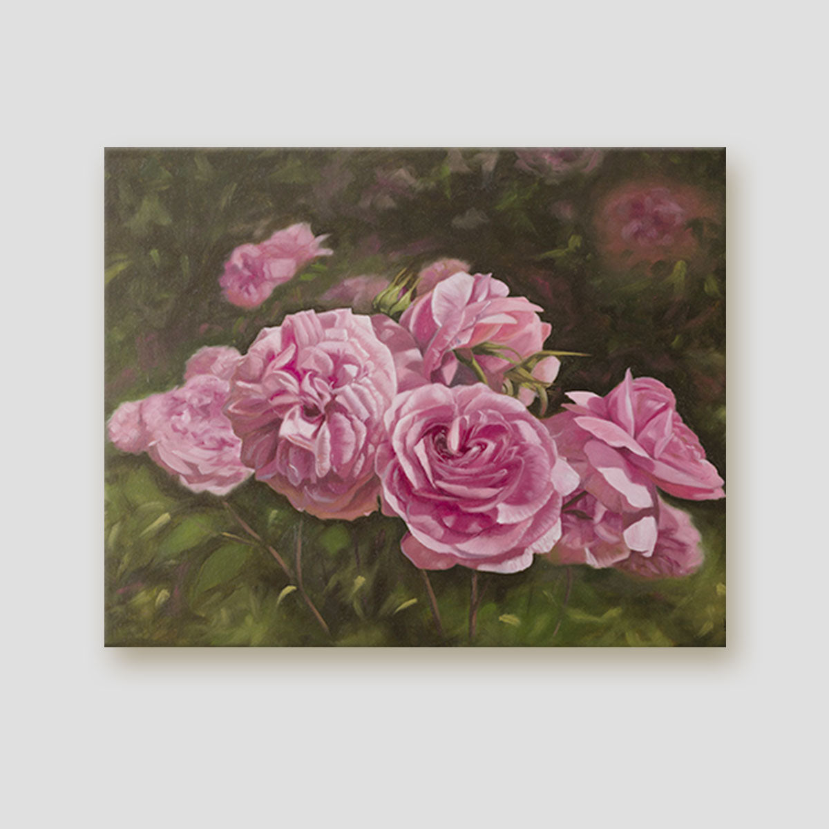 'The Secret Garden' Pink Rose Canvas Print