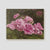 'The Secret Garden' Pink Rose Canvas Print