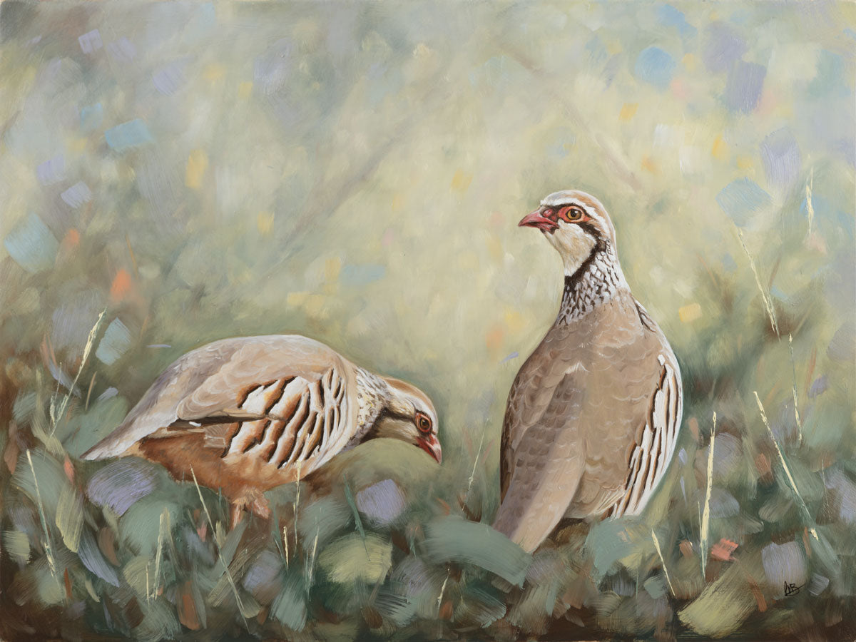 Painting of Two French Partridges