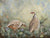 Painting of Two French Partridges
