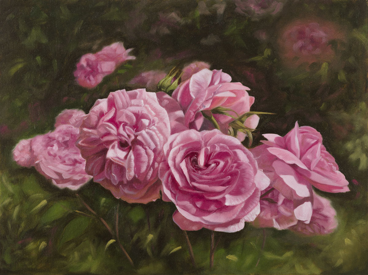 The Secret Garden' Pink Rose Art Print - Laura Beardsell-Moore
