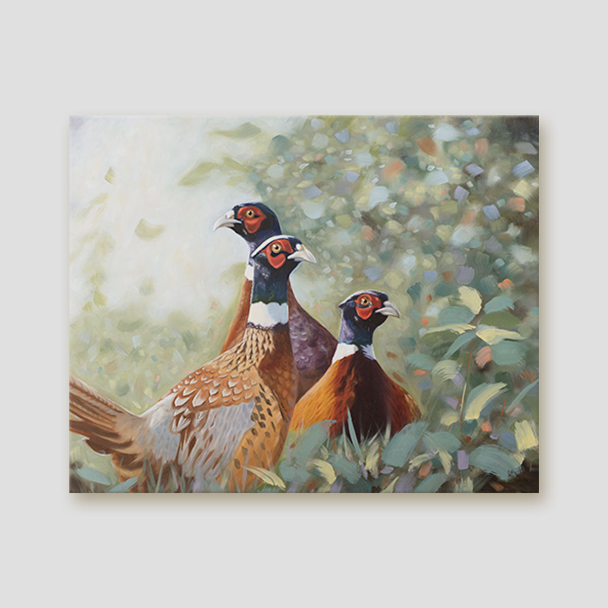 Wild Boys canvas of group of male pheasants