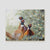 Wild Boys canvas of group of male pheasants