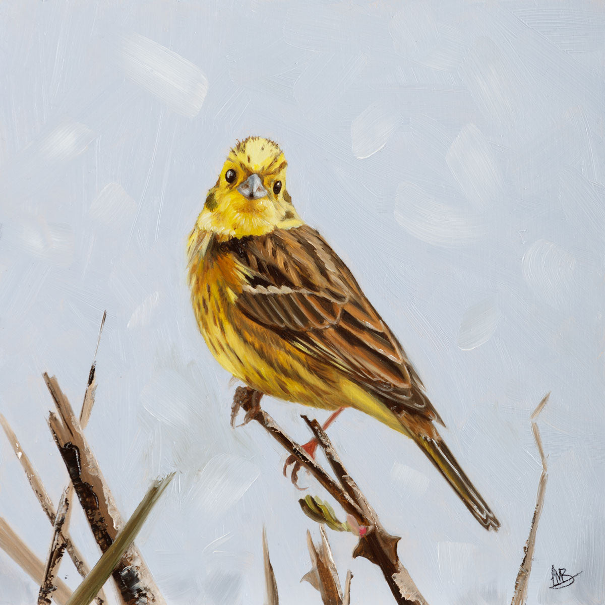 Yellowhammer on hedge painting