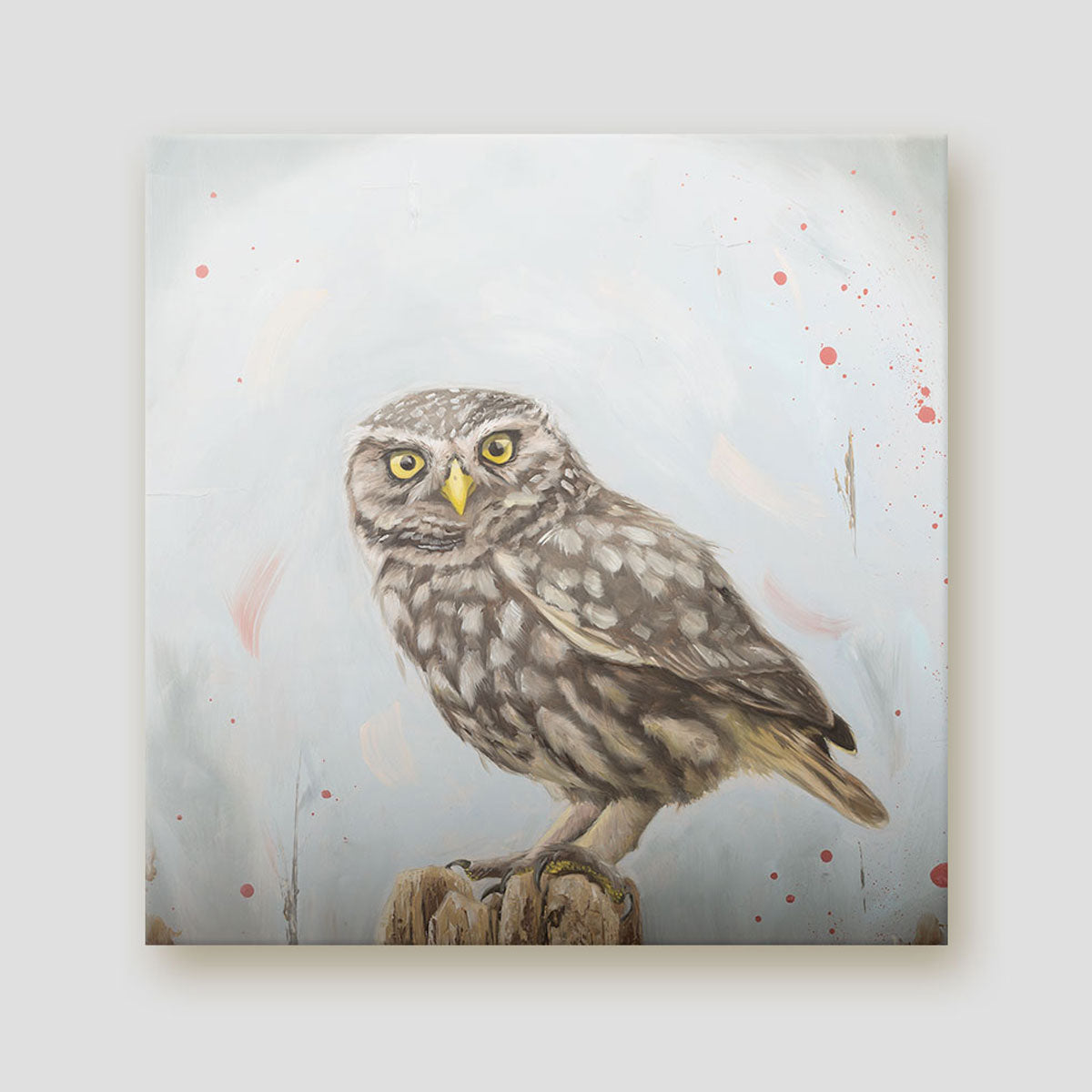 Attitude Little Owl canvas