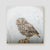 Attitude Little Owl canvas