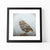 Little owl print