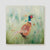 Dapper pheasant canvas