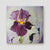 Dark Magic purple iris canvas print