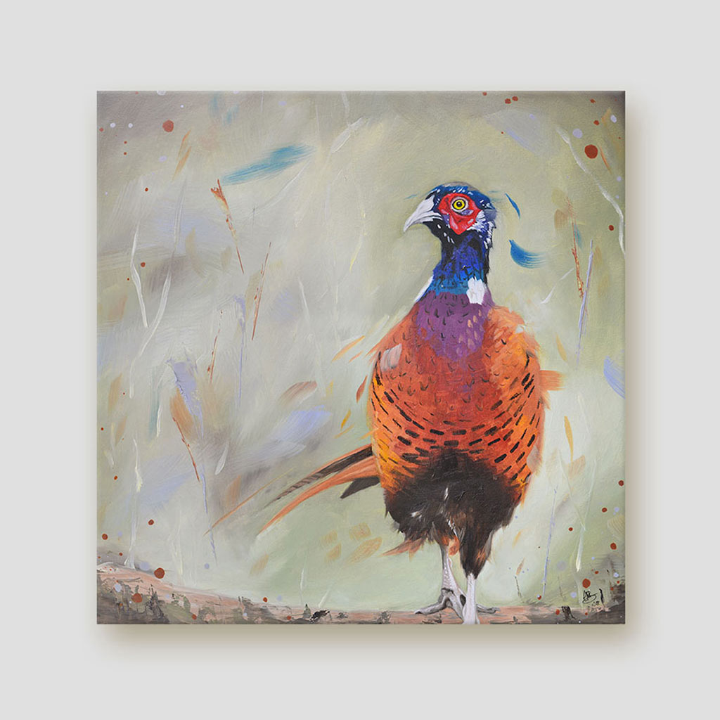 Pheasant canvas - Dashing