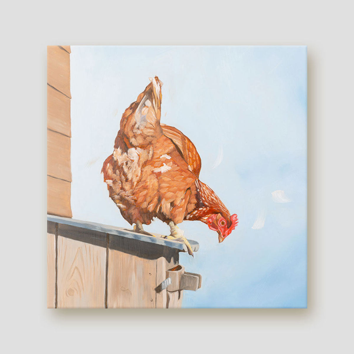 Don't Chicken out chicken canvas