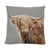 Highland cow cushion