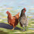Girls Day Out chicken painting