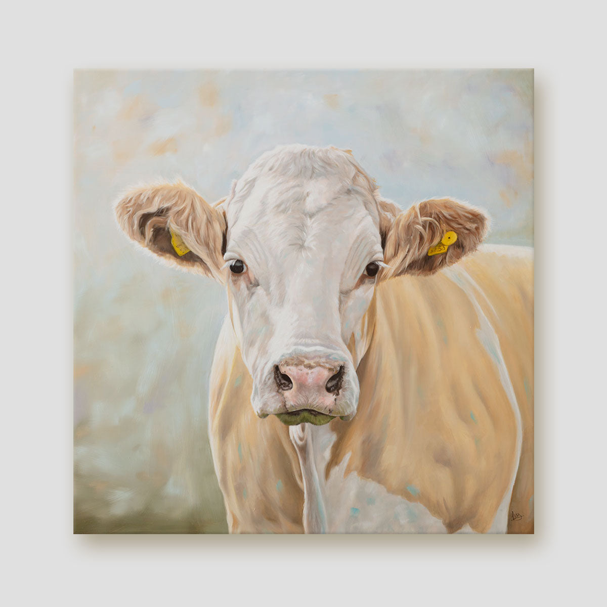 Grace - Simmental Cow Canvas Print