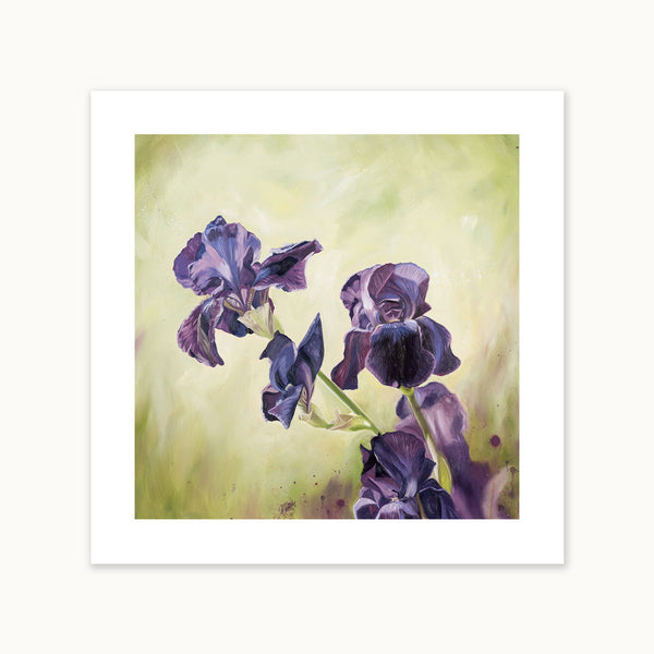 Verity Iris Print Laura BeardsellMoore Fine Art