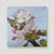 Apple blossom canvas - The Promise
