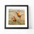 The Rivals - Fighting Pheasants Print