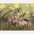 'Together by Twilight' - Original oil painting of Two Hares