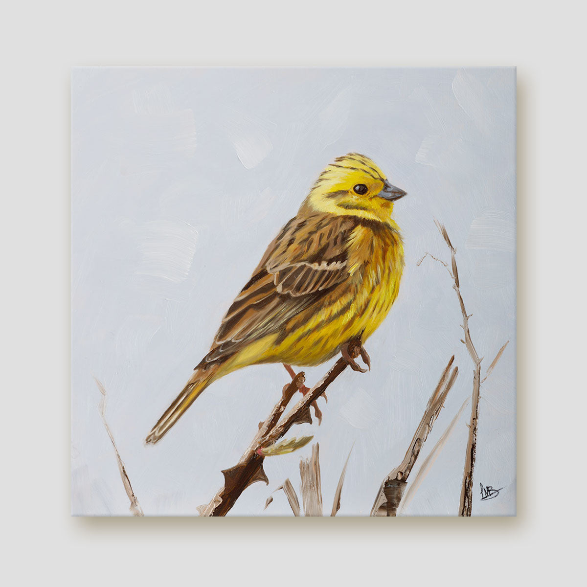 Yellowhammer 1 Canvas Print
