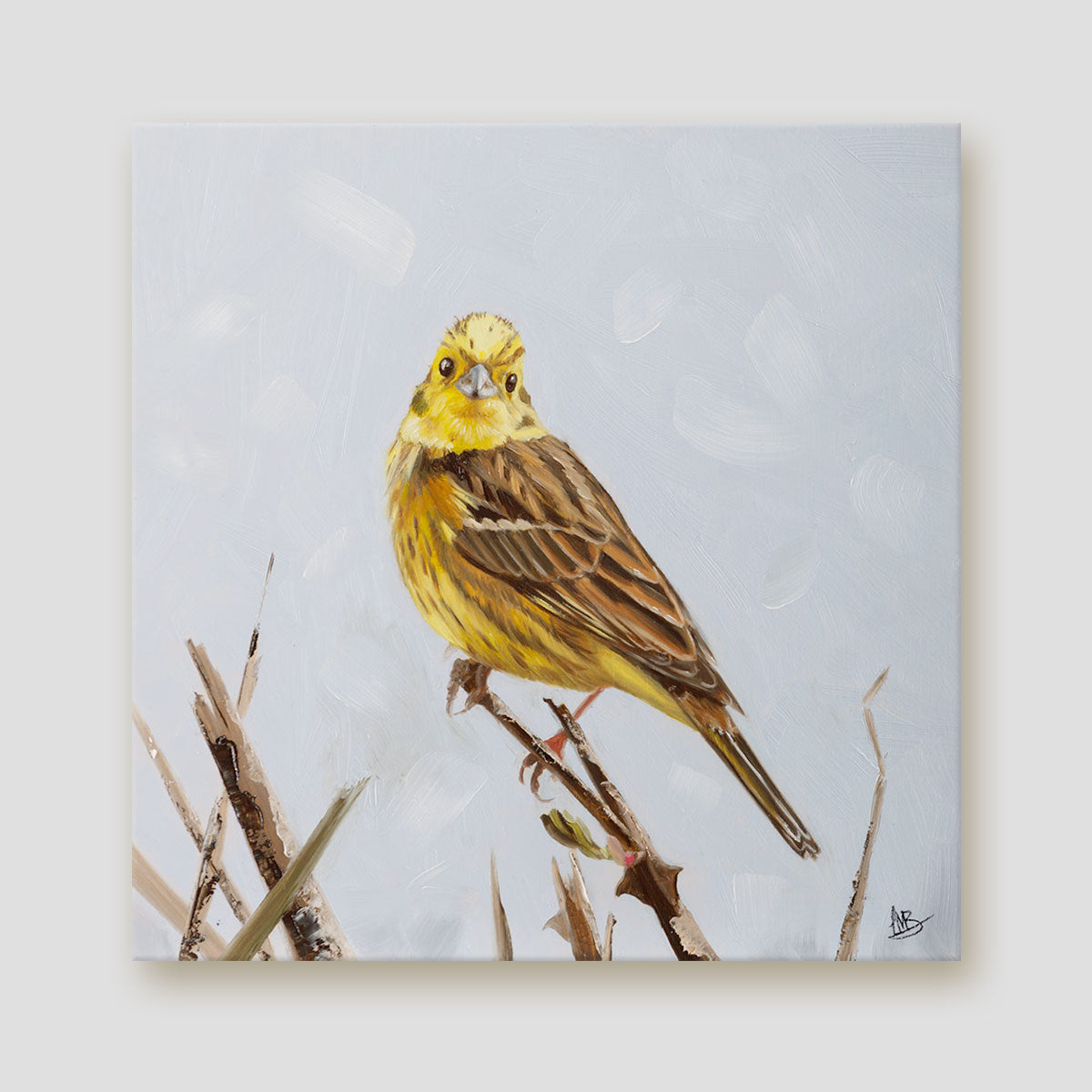 Yellowhammer 2 Canvas Print